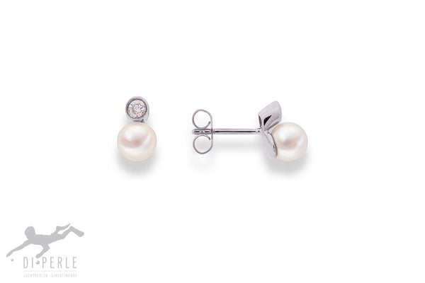 5.5-6.0 SWZP OS 585 WG 2x BRI 0.060 CT H.si