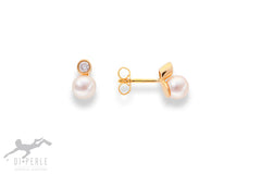 5.5-6.0 SWZP OS 585 GG 2x BRI 0.060 CT H.si